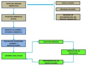 Ciclo auditoria